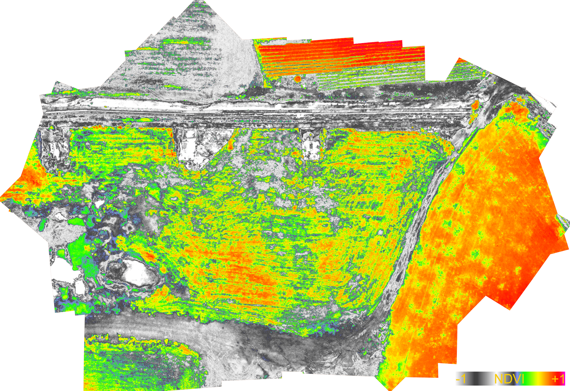 Agricoltura di precisione con drone mappa di vigore